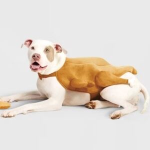 NEW Dog Costume Pet Turkey